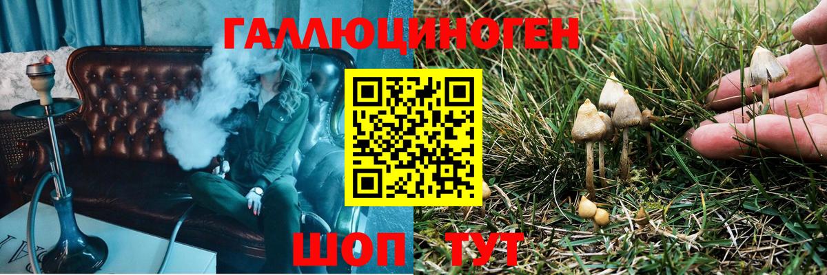 Йошкар-Ола  купить наркоту  Вход с VPN  Псилоцибиновые грибы Magic Shrooms 